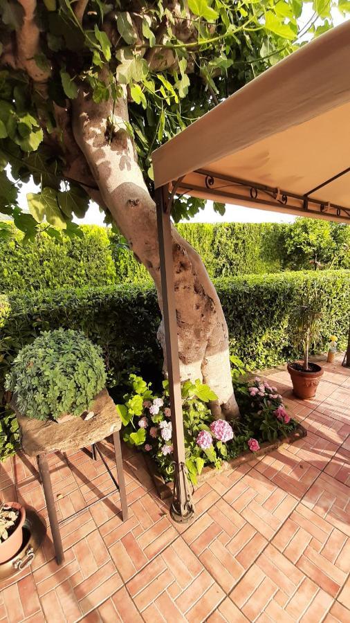 Bed and Breakfast Casale Battaglini à Castelnuovo Cilento Extérieur photo